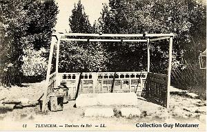 Tlemcen 145- Collection Montaner